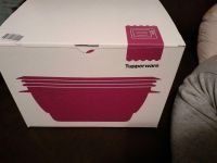 Tupperware Micro Urban large neu und OVP inklusive Versand Baden-Württemberg - Hausach Vorschau