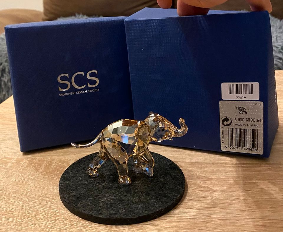 SWAROVSKI SCS Young Elefant in Bochum