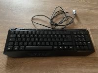 Computerzubehör Tastatur Headset Boxen Kabels Thüringen - Gera Vorschau