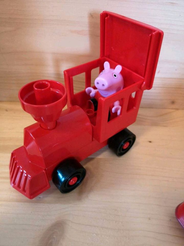 Peppa Wutz Pig Konvolut in Munster