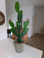 Kaktus Pflanze Mexiko künstlich mit Blüten ca. 80 cm Bayern - Rüdenhausen Vorschau