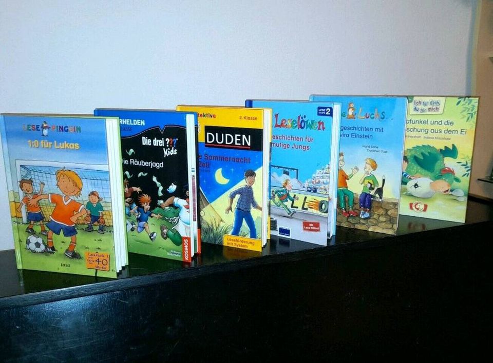 ERSTLESER Kinder Buch Bücher für Jungen Neue TOP!! in Lübeck