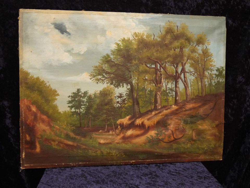 Antikes "Landschafts-Gemälde", Öl auf Leinwand, dat.1881 in Eicklingen