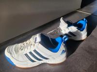 Adidas Adiprene Laufschuhe Turnschuhe Gr.40,5 UK 7  kaum getragen Niedersachsen - Barsinghausen Vorschau