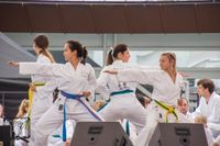 Taekwondo für Studierende, MA & Alumni von TH und Uni! Bayern - Augsburg Vorschau