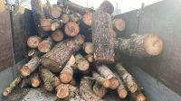 Feuerholz Fichte, Kiefer Brennholz Ofenholz Kaminholz 70€ Wandsbek - Hamburg Duvenstedt  Vorschau