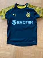 Borussia Dortmund Trikot 140 Niedersachsen - Seelze Vorschau