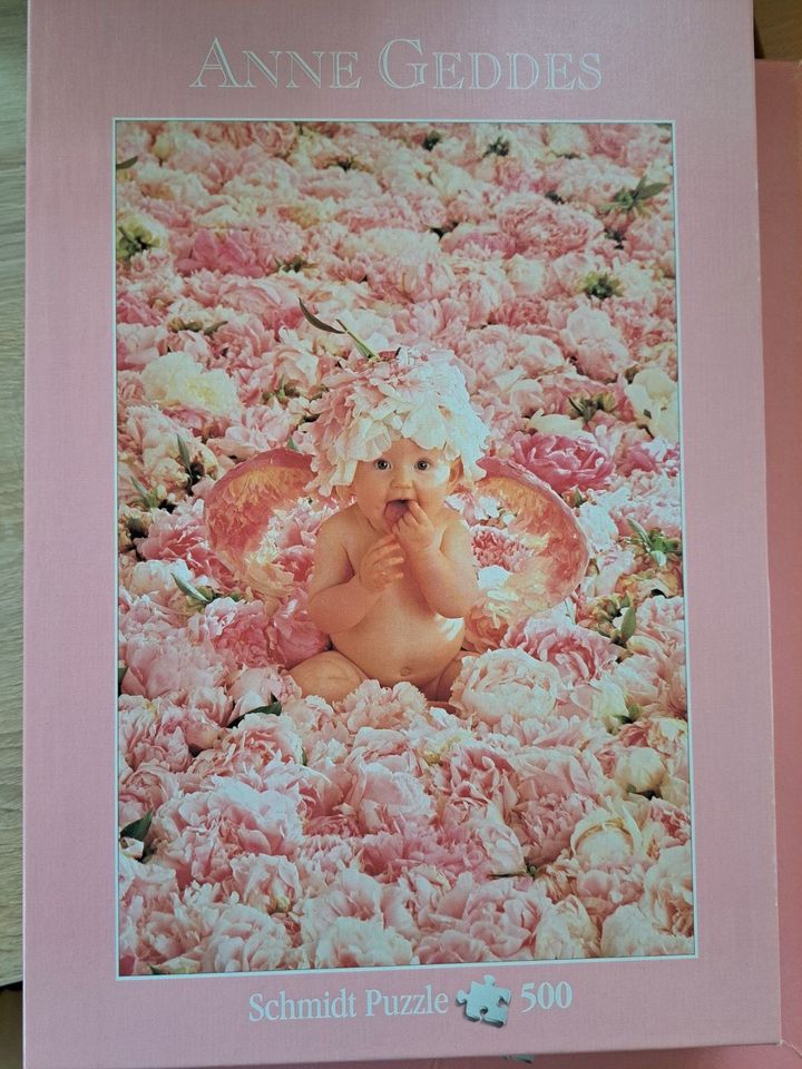 viele 500/1000/2000 Teile Puzzle Elfen Geedes Baby Rosen Blumen a in Markt Indersdorf