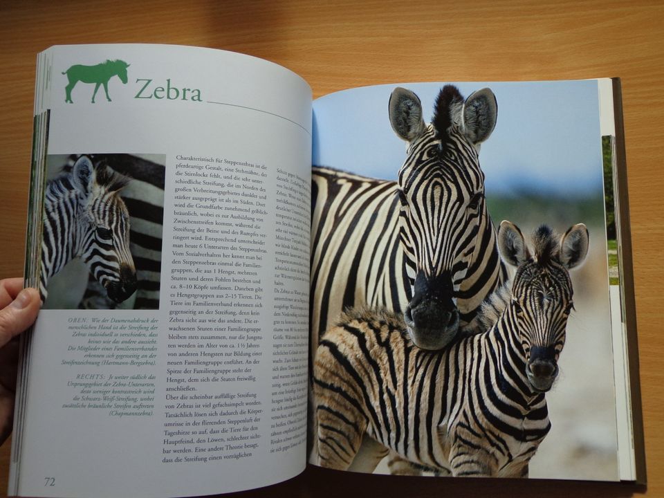 Großbildband "Tierkinder im Zoo", von Prof. Dr. Henning Wiesner . in Hoyerhagen