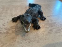 Schleich Krokodil Rostock - Stadtmitte Vorschau