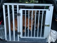 Transportbox Autobox Hund Eugad Aluminium Hundebox Silber Grau Nordrhein-Westfalen - Spenge Vorschau