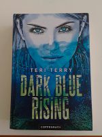 Teri Terry : Dark Blue Rising Niedersachsen - Norderney Vorschau