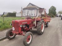 McCormick D-320 mit Kipp-Anhänger Nordrhein-Westfalen - Heinsberg Vorschau