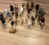 Schleich Pferde (Tiere) + Zubehör Bayern - Viechtach Vorschau