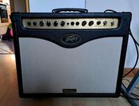 Peavey Windsor Studio Röhrenverstärker - Top Zustand Eimsbüttel - Hamburg Stellingen Vorschau