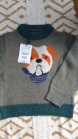 Gr116 ZARA Strickpullover WolleJunge Hund  Limitierte Edition Neu Hessen - Darmstadt Vorschau