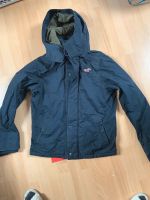 Jacke Hollister Gr.M Niedersachsen - Drakenburg Vorschau