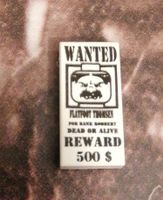 1 x LEGO Fliese 1 x 2 mit Nut 'WANTED' 500 Belohnung Poster Muste Gerbstedt - Gerbstedt Vorschau