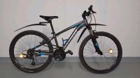 Mountainbike 26 Zoll ST 100 München - Allach-Untermenzing Vorschau