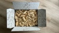 Kaminanzünder aus Bio Holzwolle mit natürlichem Wachs 3 KG Baden-Württemberg - Rottweil Vorschau