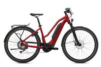 Reduziert *NEU* FLYER E-Bike Upstreet 5 7.10 // Zweiradhaus Grave Niedersachsen - Hagen am Teutoburger Wald Vorschau