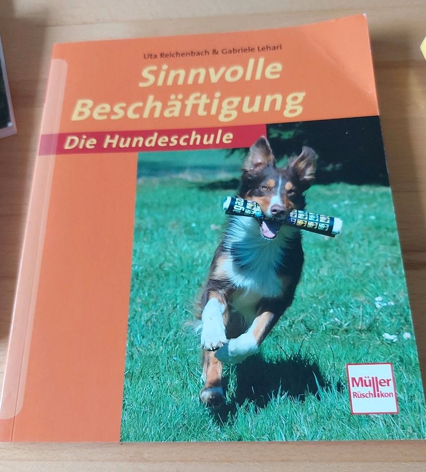 Die Hundeschule in Weil am Rhein