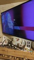Samsung LED TV 3D Funktion 55 Zoll für Bastler Sachsen - Obergurig Vorschau