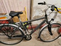 Climber Fahrrad Herren - 28 Zoll Berlin - Pankow Vorschau