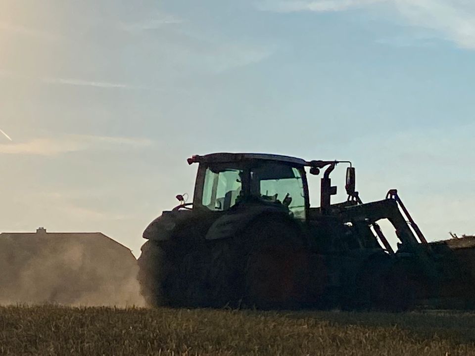 Wir suchen Weizen-,Gerste-,Roggenstroh 2024 ab Feld in Dorsten