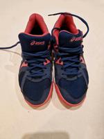Asics Sportschuhe Gr 39,5 Baden-Württemberg - Frickingen Vorschau