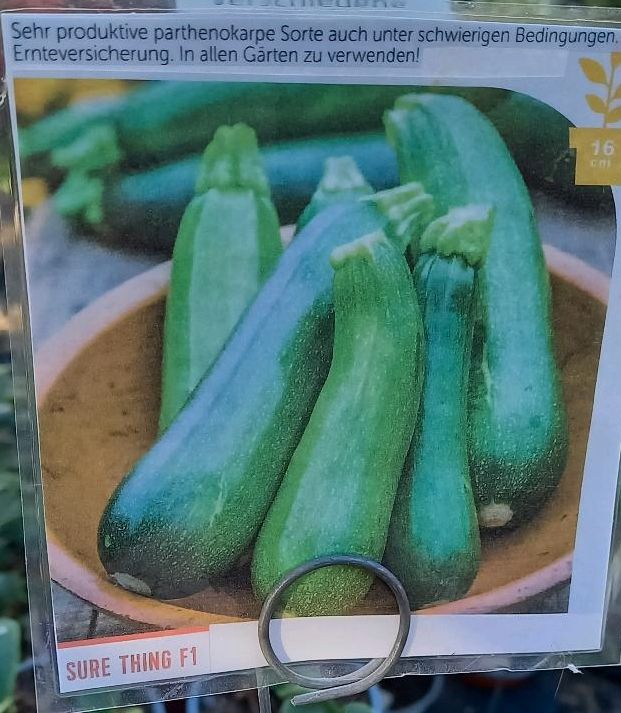 Zucchini und Kürbis - Eigenproduktion in Ostrach