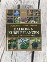 Buch Balkon und Kübelpflanzen Gestaltung Pflanzenauswahl Pflege Niedersachsen - Wittingen Vorschau