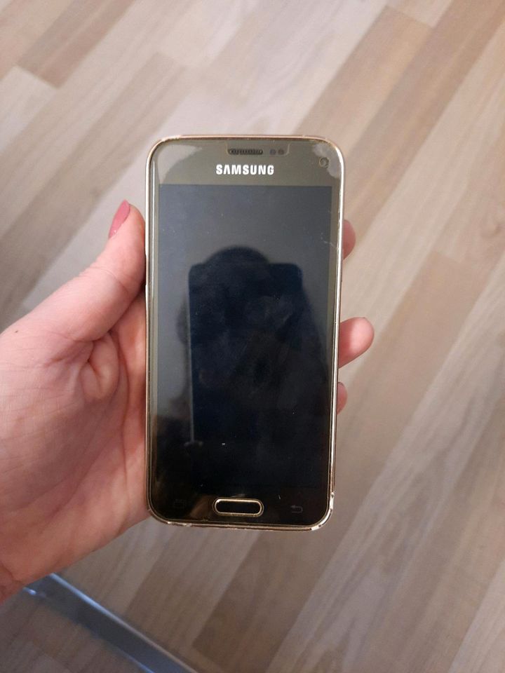 Samsung Galaxy S5 mini in Tettnang