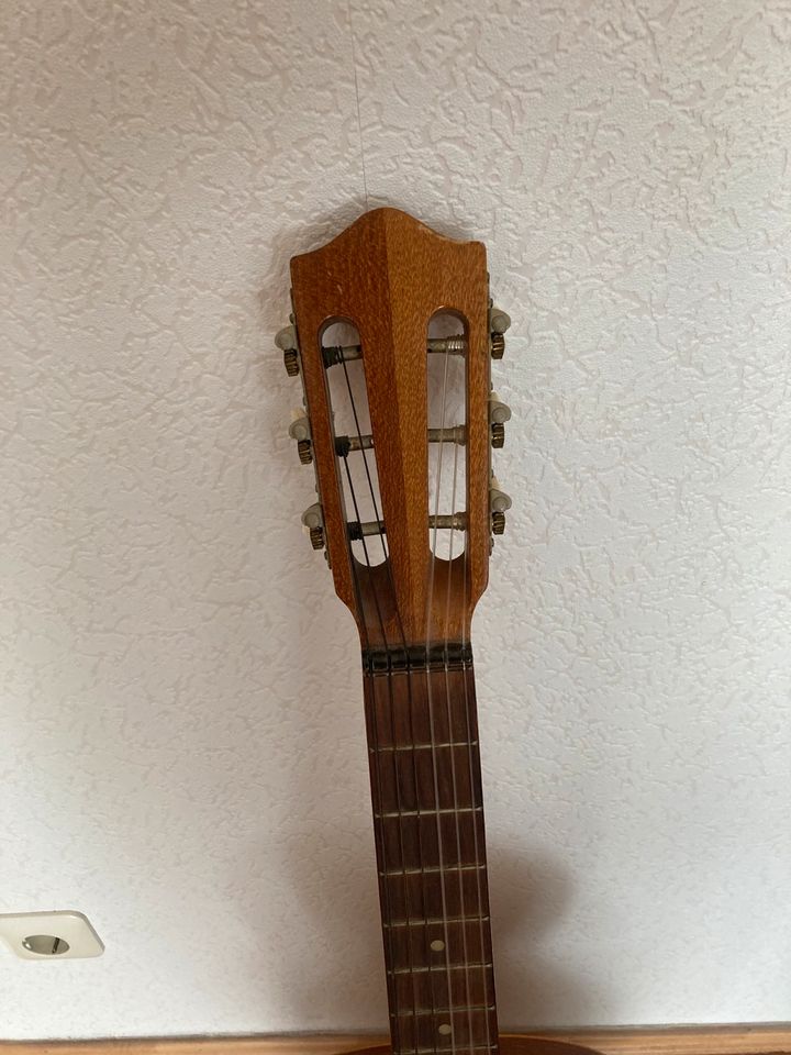 Höfner Gitarre in Tönisvorst