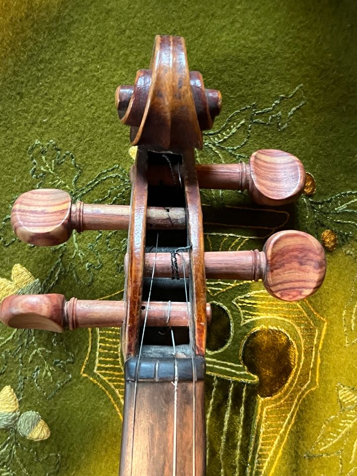 Alte Geige in Chemnitz