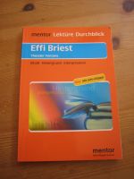 Lektüre Durchblick "Effie Briest" von Theodor Fontane Hessen - Neu-Anspach Vorschau