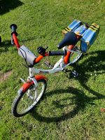 Kinderfahrrad gr. 18 Bergedorf - Hamburg Allermöhe  Vorschau