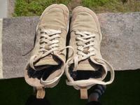 Barfußschuhe Wildlinge Wiesel Gr. 39 (eher 38) Saarland - Ottweiler Vorschau