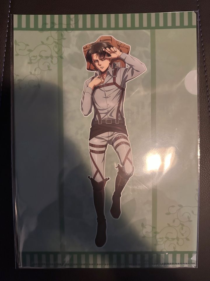 Clearfile Kaguya-sama,Attack on Titan,Tokyo Revengers,Spy Family in Mörfelden-Walldorf