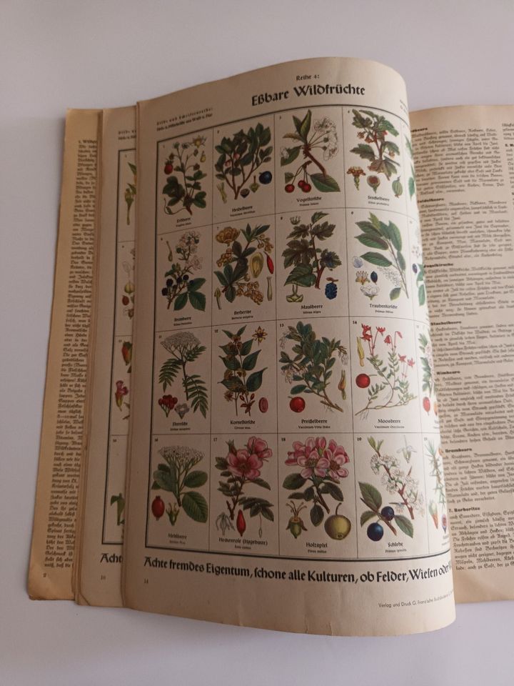 Heft - Pflanzen-Atlas 1 von 1940 (gebrauchter Zustand) in Birkenfeld