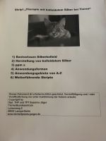 Lernskript Kolloidales Silber/ Silberkolloid Hessen - Lampertheim Vorschau