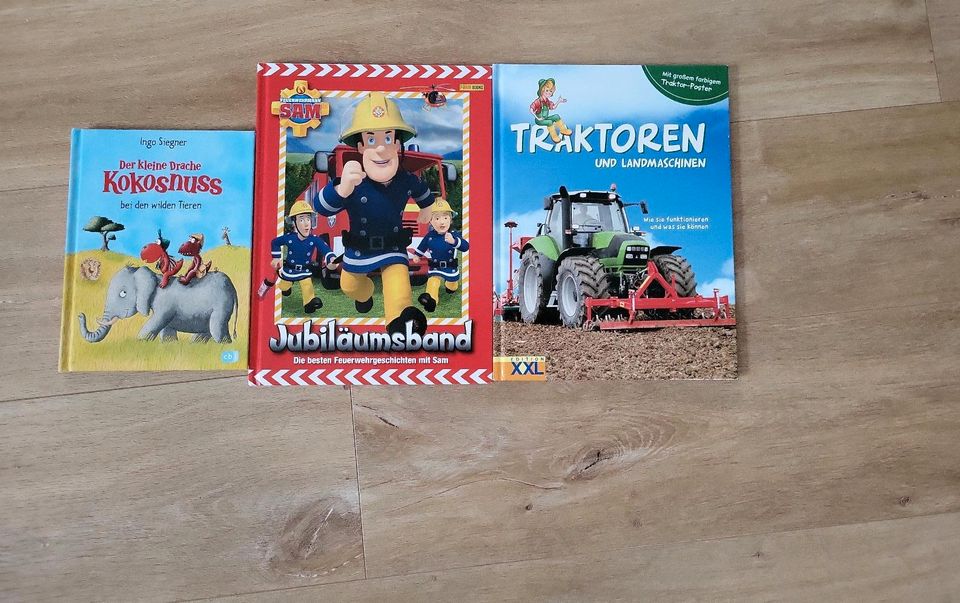 Kinderbücher/ Bücher/ Yakari/ Wickie/ Cars/ Feuerwehrmann Sam in Grünberg