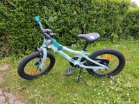 Scott Contessa Kinderfahrrad 16 Zoll Rheinland-Pfalz - Hergenfeld Vorschau