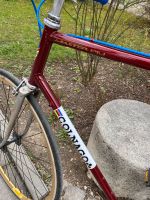 Vintage Rennrad Campagnolo Colnago Retro Single Speed Fahrrad München - Au-Haidhausen Vorschau