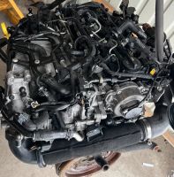 Motor Komplett CRL CRLC 2.0TDI 55.000 1Jahr Garantie Stuttgart - Vaihingen Vorschau