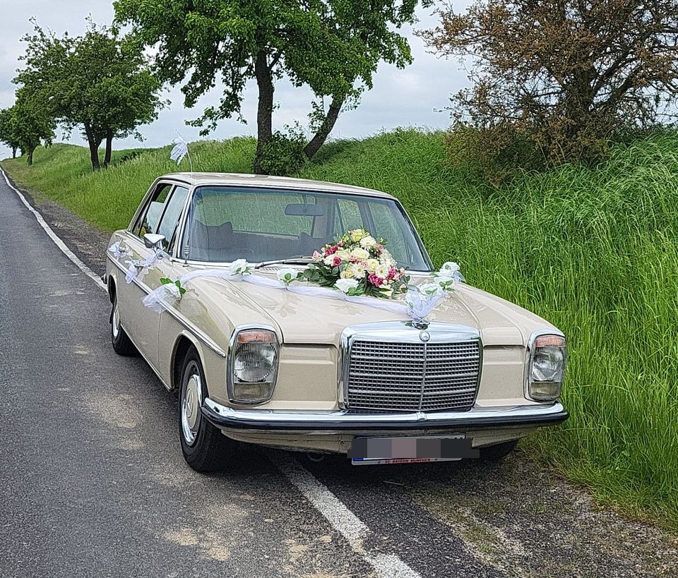 Mercedes Benz Strich 8 Oldtimer & Hochzeitsauto mieten in Berlin in Berlin