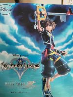 Kingdom Hearts Play Arts Figur Nordrhein-Westfalen - Bergisch Gladbach Vorschau