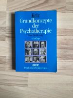 Kriz Grundkonzepte der Psychotherapie 4. Auflage Thüringen - Erfurt Vorschau