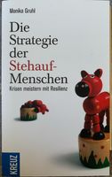 Die Strategie der Stehauf-Menschen Brandenburg - Senftenberg Vorschau