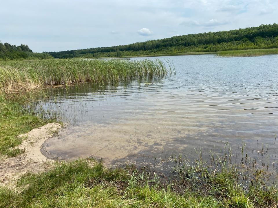 Freizeitgrundstück Wochenendgrundsück im Lausitzer Seenland in Lauchhammer